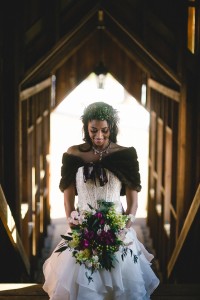 Don Barington Photography